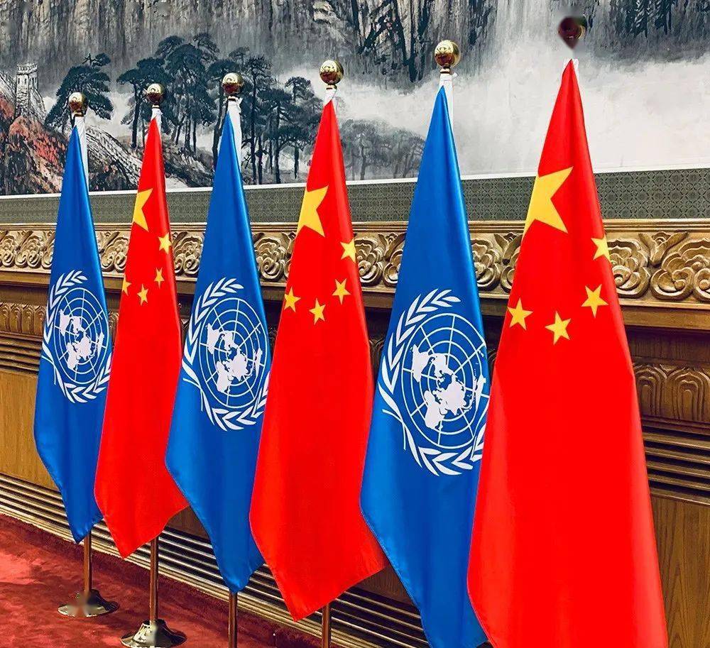 中年 联合国图片