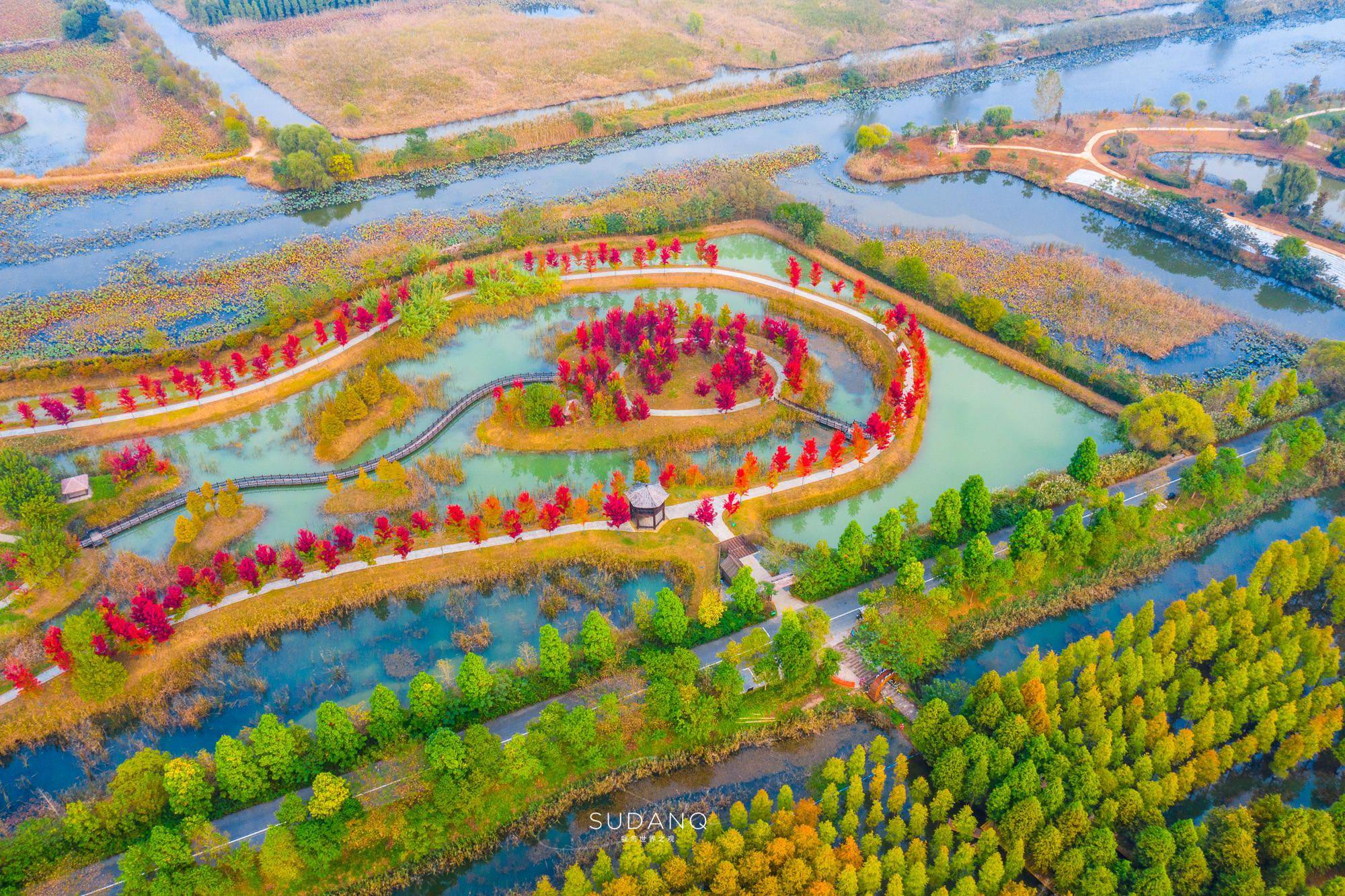 泗洪县洪泽湖湿地公园图片