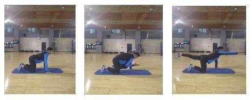 运动|运动抗疫，打开居家健身的正确方式