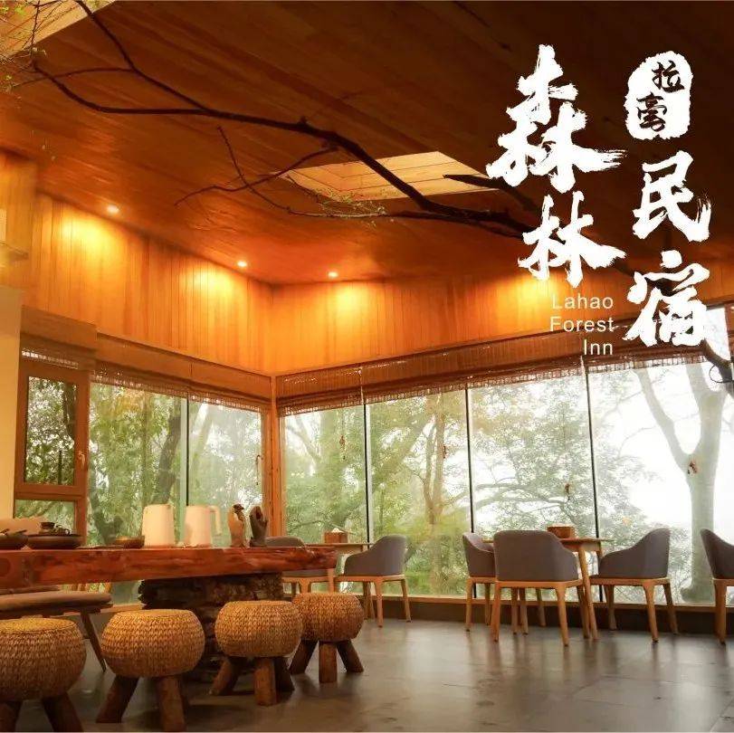 小众自驾 | 森林中的民宿 | 营盘古苗寨-南方长城-天龙大峡谷 | 轻奢度假_独栋二