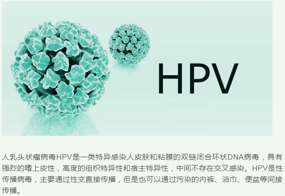 免疫細胞療法擺脫hpv高危陽性預防宮頸癌