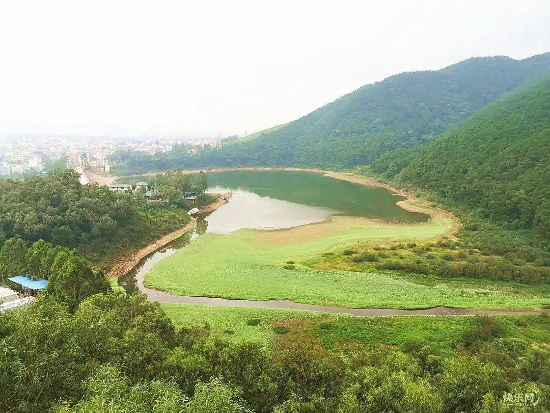 在贵港的可可托海,深藏绿色丛林,翡翠河湾,金黄稻田._石牛