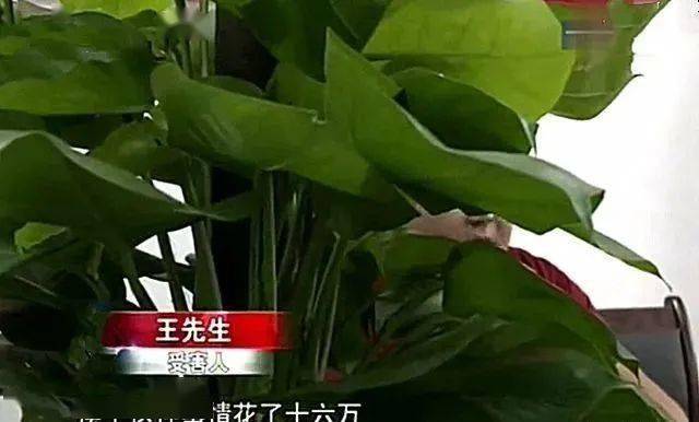 巢湖黑老大淫魔李晓飞的覆灭