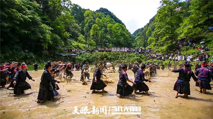 民族|苗族水鼓舞：“水与鼓”的交融 六百年的传承