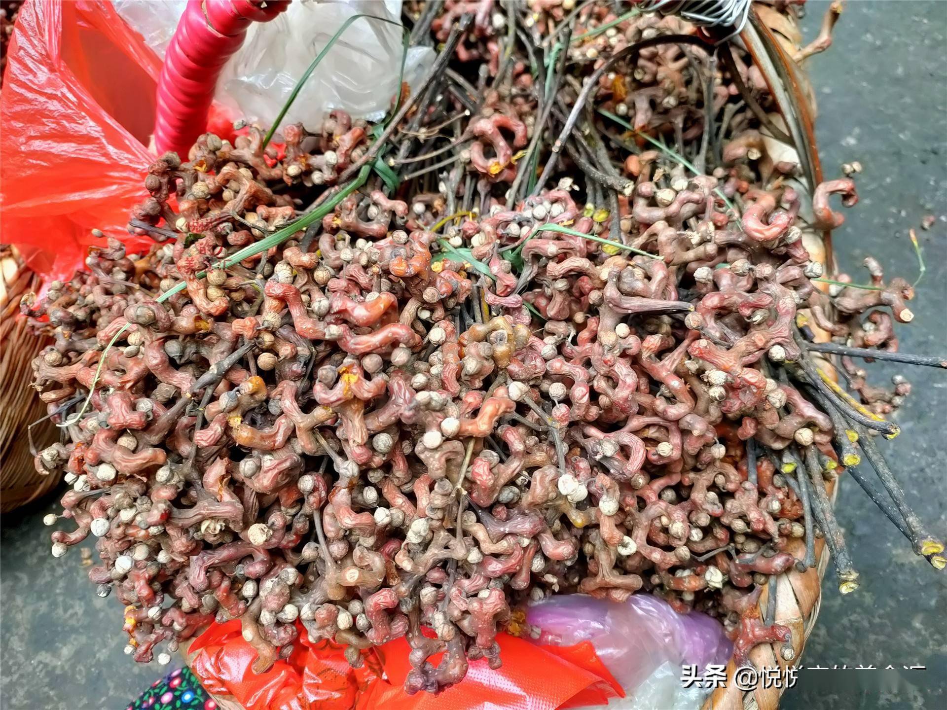 南方人爱吃的6种野水果北方人看后直眼馋特别是最后一种