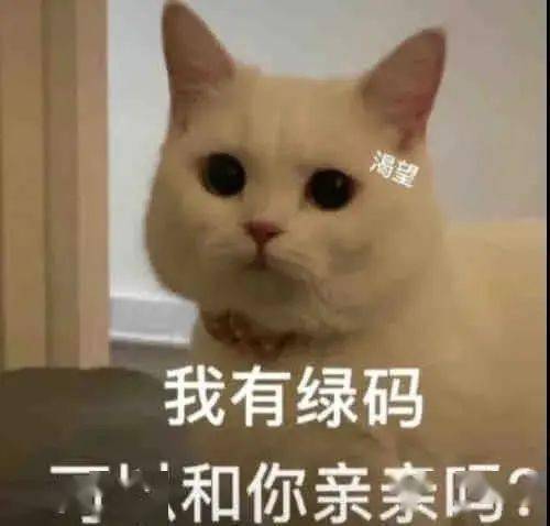 入職三天被普信男表白？！謝謝，吐出來好多了… 搞笑整蠱 第1张