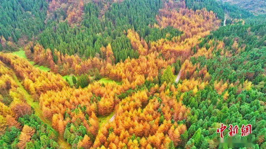 贺若弼|一个人开始走大运的4个征兆