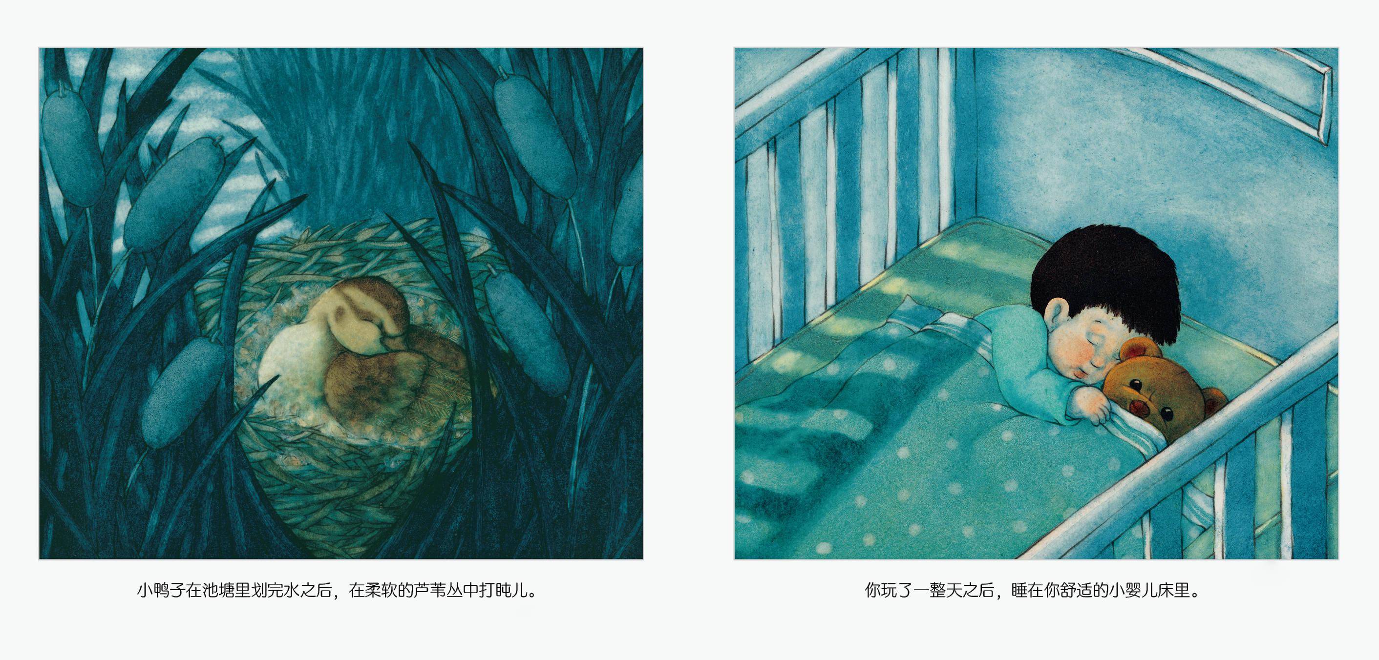 朱迪斯·哈里斯|如何追上一束光？| 童书新品