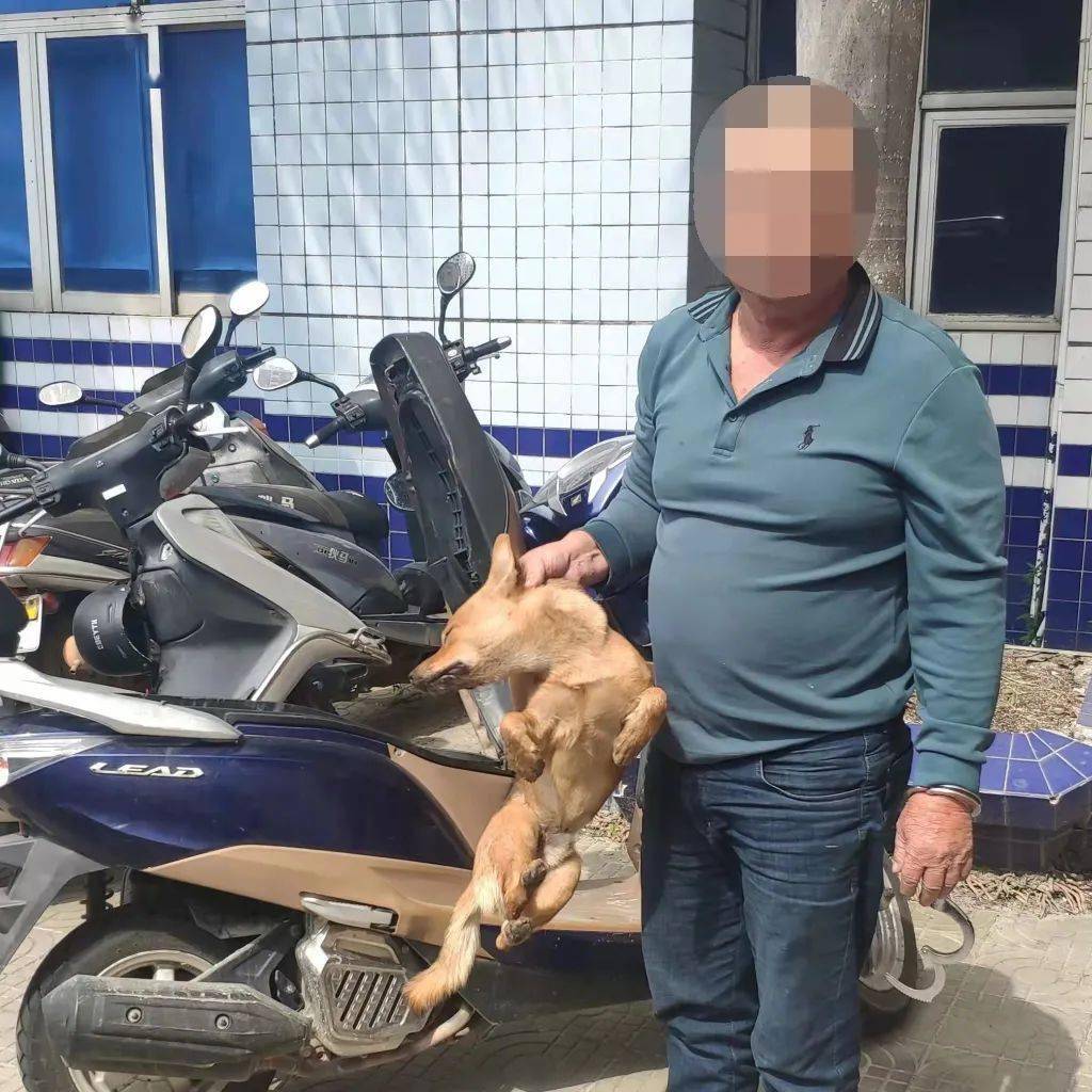 昨天凌晨这两人在陆丰偷狗被抓获