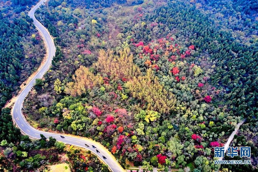 绿荫|河南济源：秋染南山 色彩斑斓