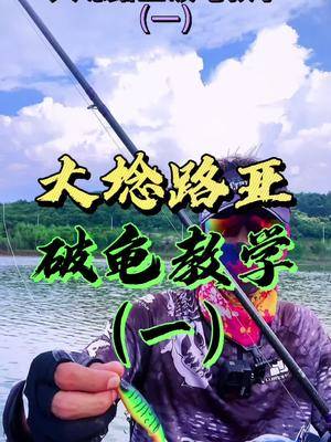 大埝路亞新手破龜教學一釣魚路亞釣魚dou是釣魚人創作靈感