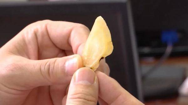 草乌|呕吐、腹泻、胸闷、浑身无力...煮食附子中毒入院，医生建议：食用这些药材需谨慎！