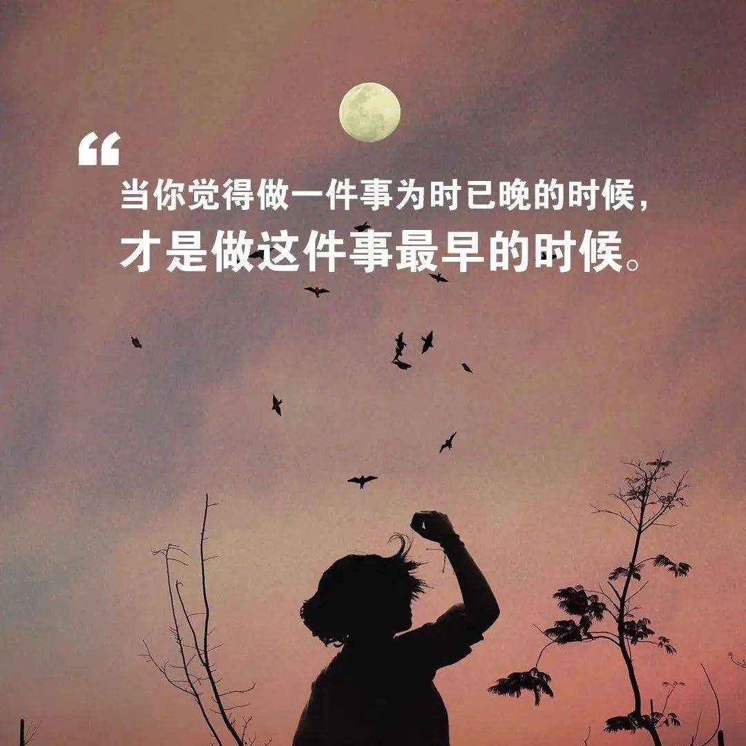 毒战豆瓣
