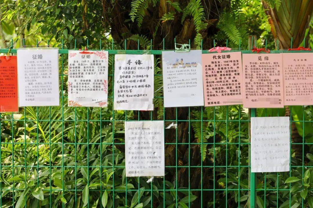 暗访莲花山相亲角,年薪30万只能算起步?_深圳