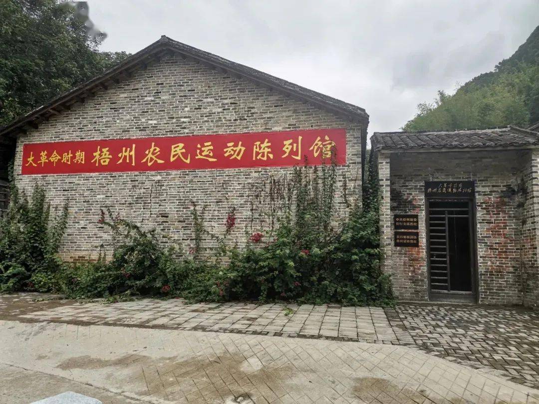 党史少年学61薪火永相传第一期梧州市龙圩区红色研学校外争章活动