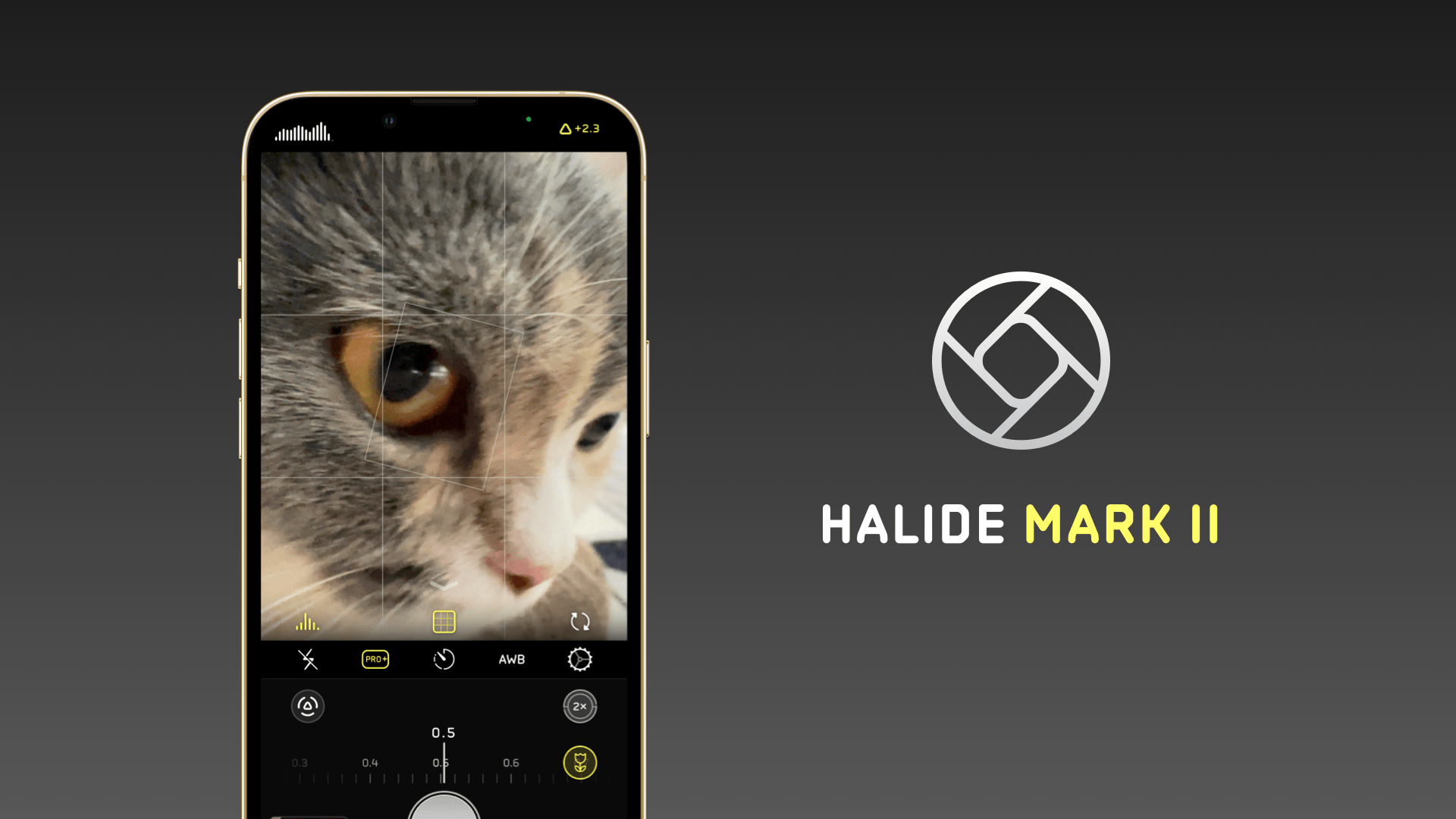 系列|老款 iPhone 也能拍「微距」：专业相机应用 Halide 更新