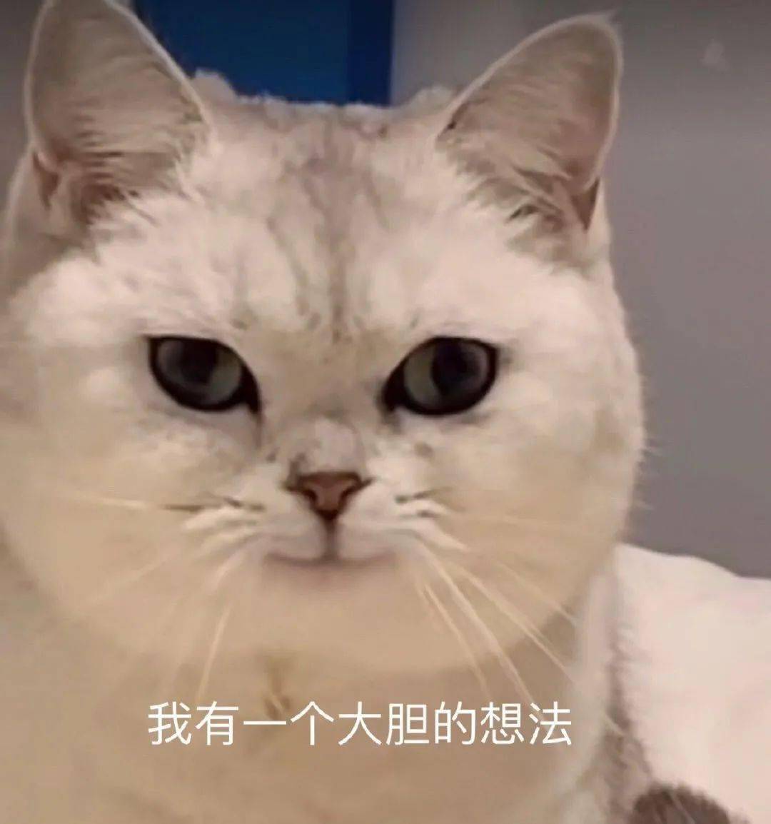 王菲采訪nb症發言合集！女王發言看完跪了哈哈哈 搞笑整蠱 第1张