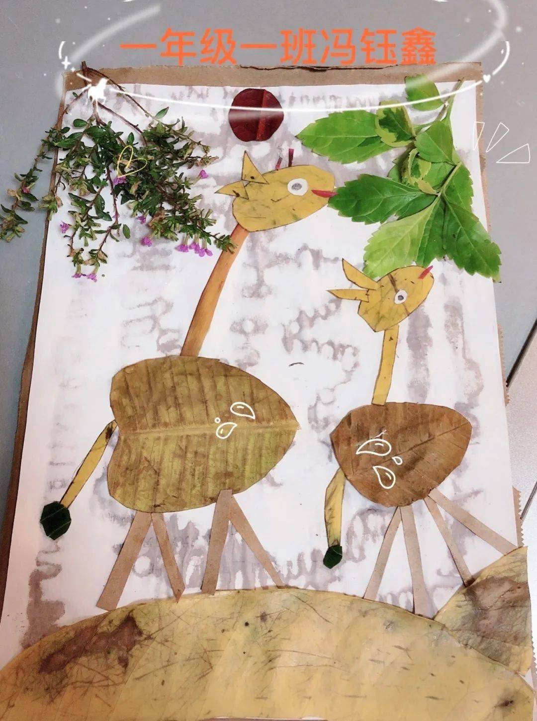 29张树叶拼贴画,来看看孩子们的秋日创作_林静芳