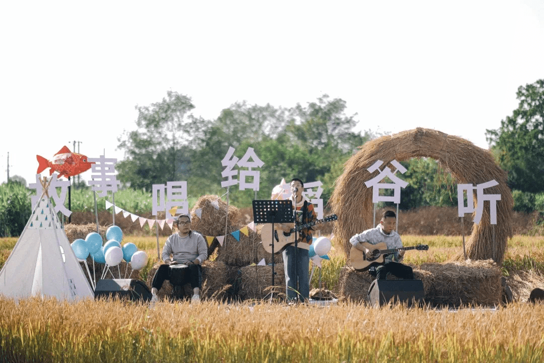 魔力|庐源稻香生活节|与稻禾相约,定格此刻美好