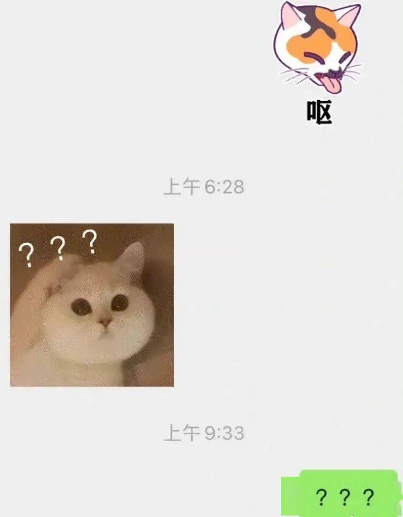 貓咪半夜給前任發了條消息？？不結婚很難收場kswl 搞笑整蠱 第3张