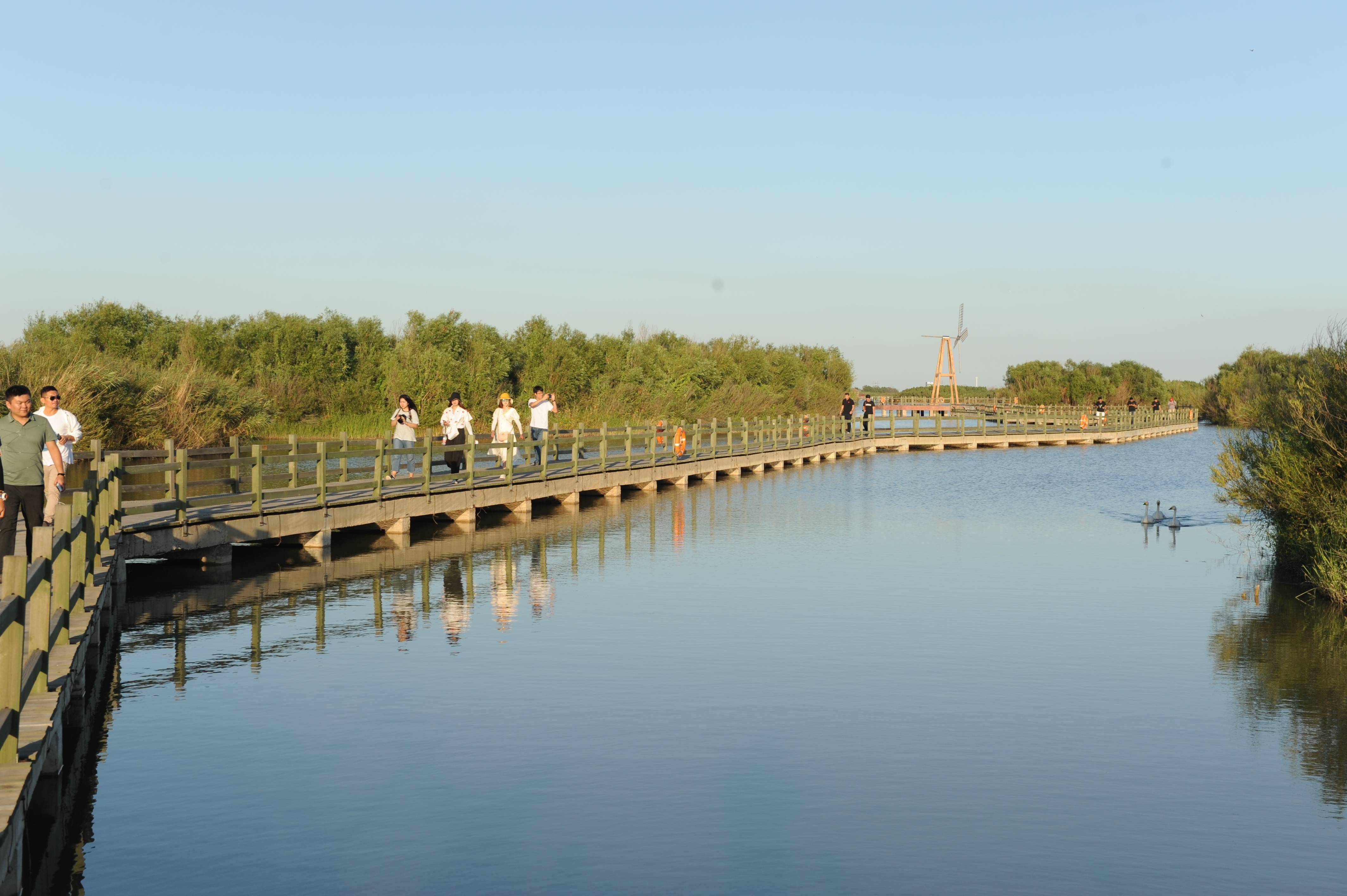 非遗线上线下营销联动山东东营打造黄河非遗助力振兴样板