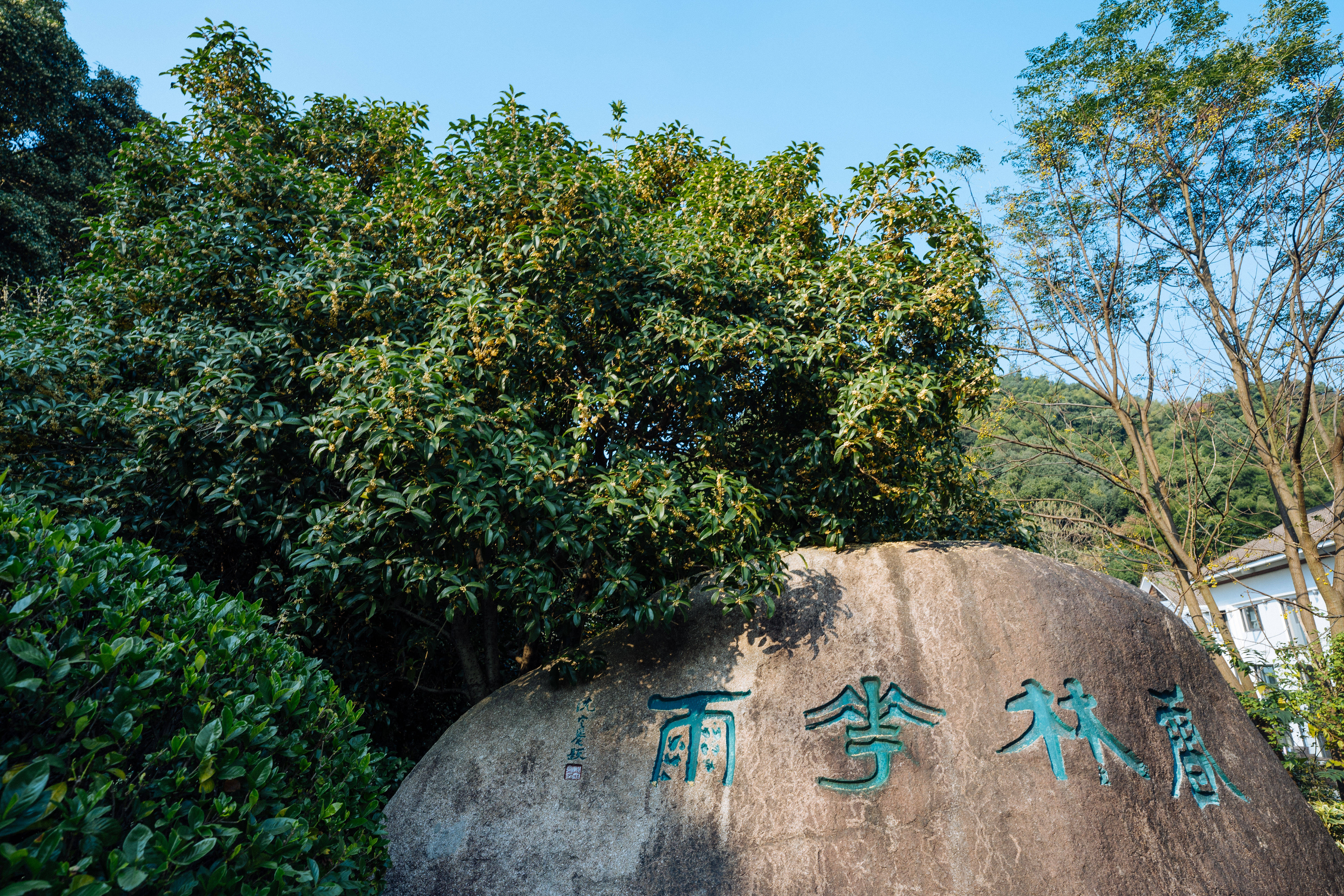 真香绍兴大香林真的是太香了没家庭出游好去处