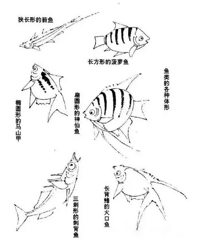 国画教程写意鱼的画法