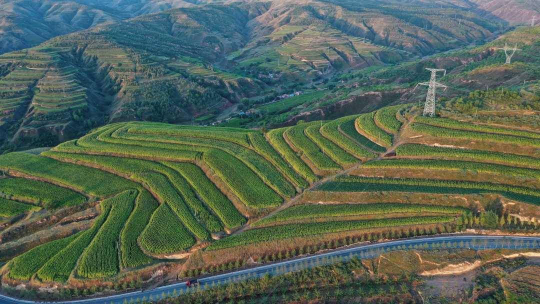 宁夏隆德水土保持让绿水青山成为金山银山