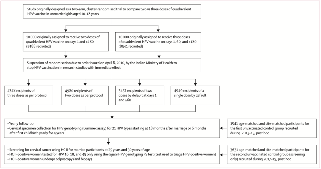 对象|《柳叶刀·肿瘤学》：HPV疫苗，一针或许就行！科学研究发现，一针四价HPV疫苗，10年内抗高危HPV感染效力媲美两针和三针