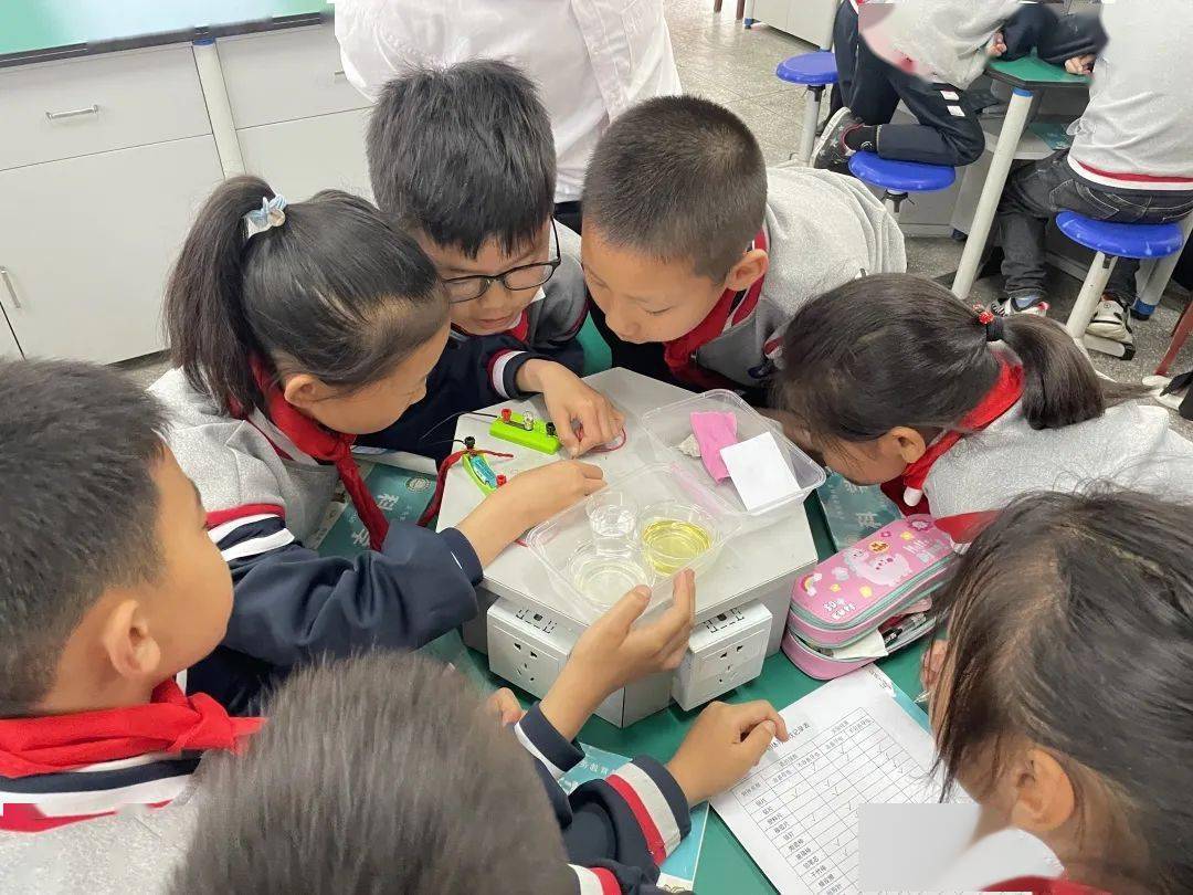 那些教“语文”的“科学”老师