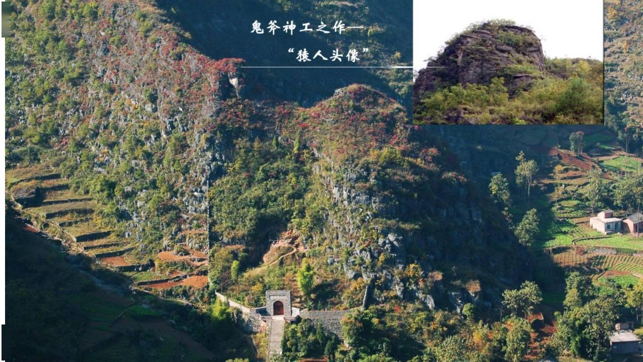 文化|巫山红叶似彩霞 国际红叶节又双叒叕来临