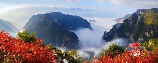 城事 | 巫山红叶节11月20日开幕
