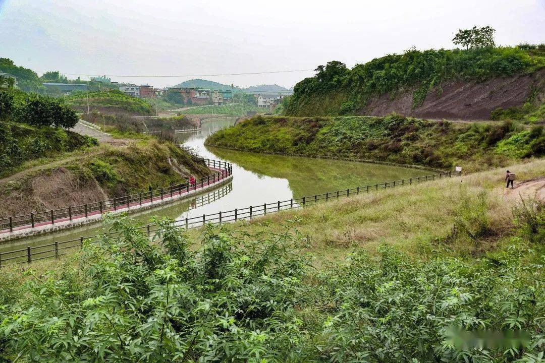 【聚焦重点工程】打造高水准乡村休闲旅游目的地 "乡愁二郎岗"田园