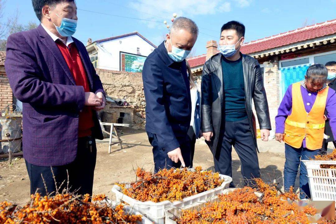 区长唐殿福到庞家堡镇调研_评估
