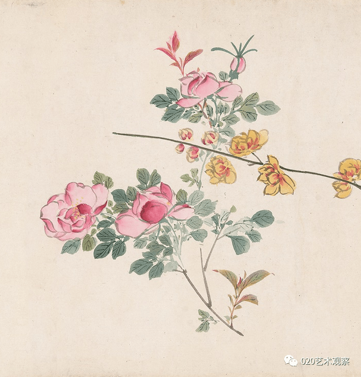 欣赏 |17米旷世巨制《百花图卷》何以成为中国花卉画史上的“百花之王”？_周之冕