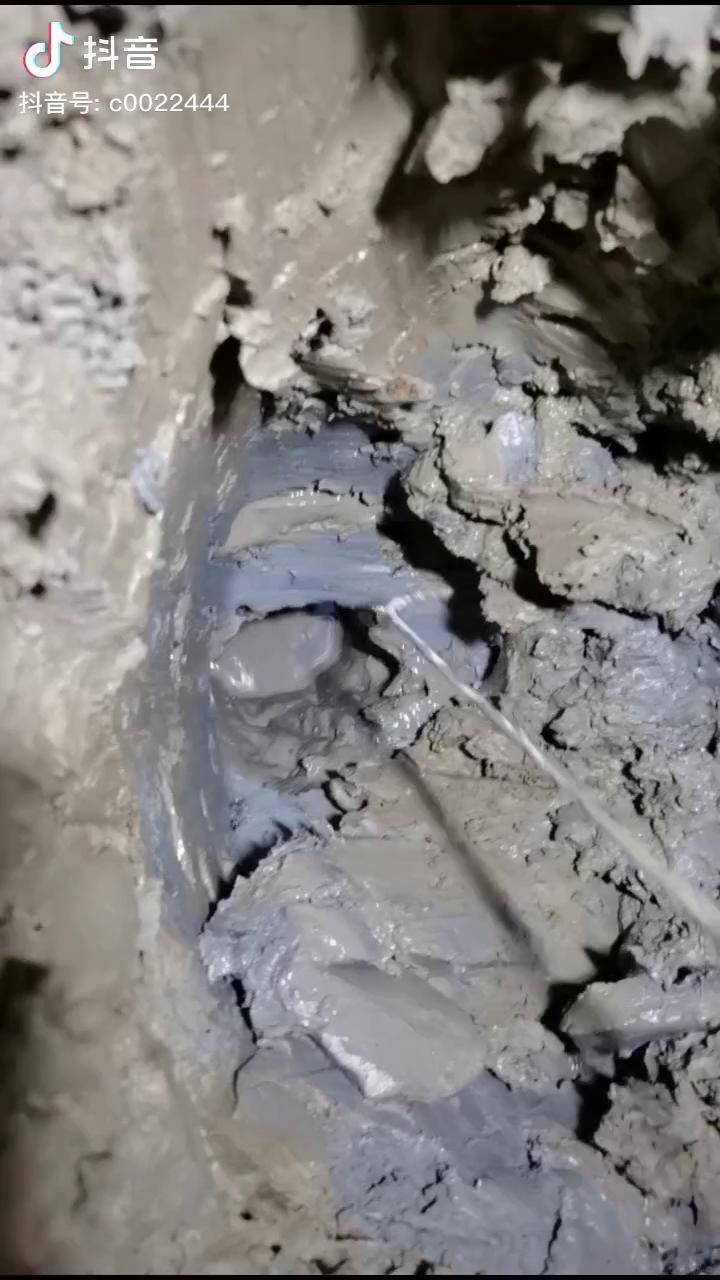 鲟虎鱼螃蟹的天敌之一青蟹洞被鲟虎鱼占为己有