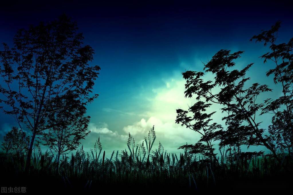 🎲罗布解谜室🧩-罗布论坛