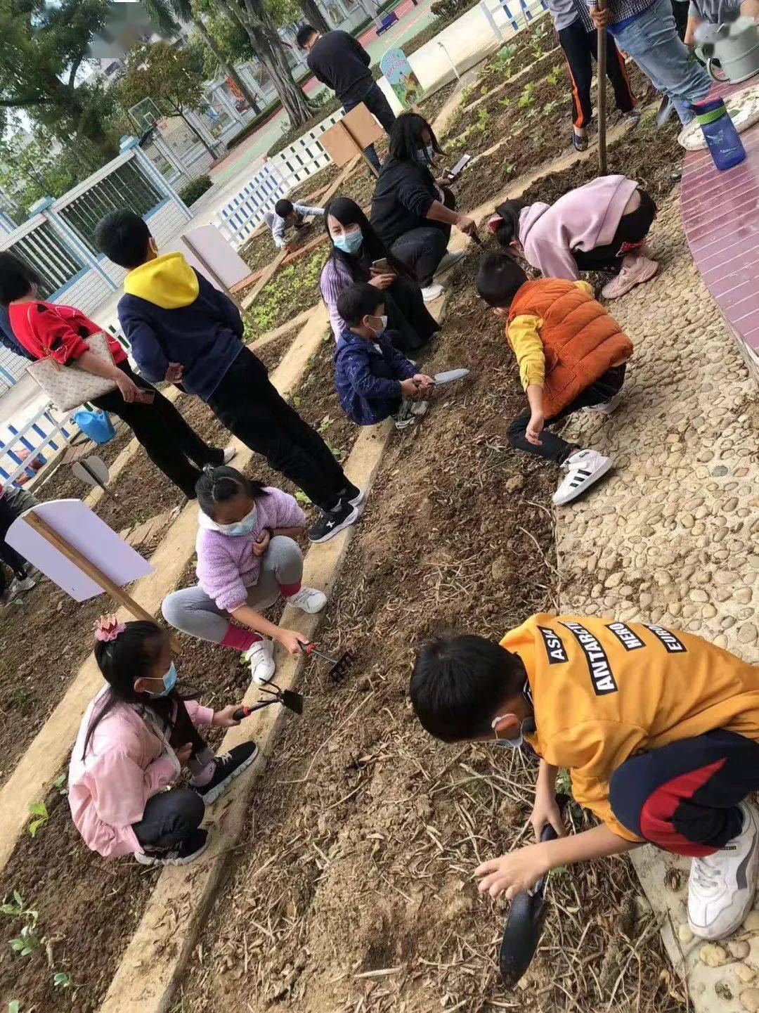 阳光校园活力一小先锋少年爱劳动争做阳光小蜜蜂