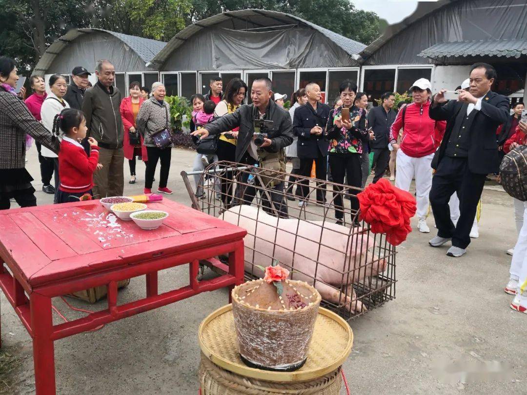 桂林花海"千人杀猪宴"精彩民俗活动 千元大奖广场舞pk 土货集市等你