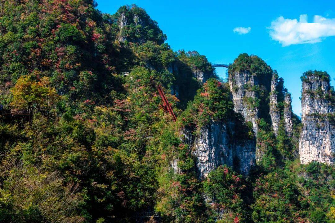 11月,看湖北,万山红遍!