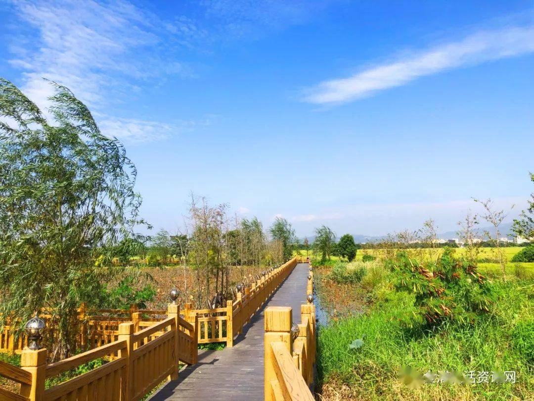 金浦梅花湿地公园的美丽风景
