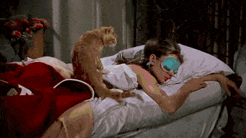 姐妹 毛绒绒家居服来啦！秋冬必备的好看保暖！