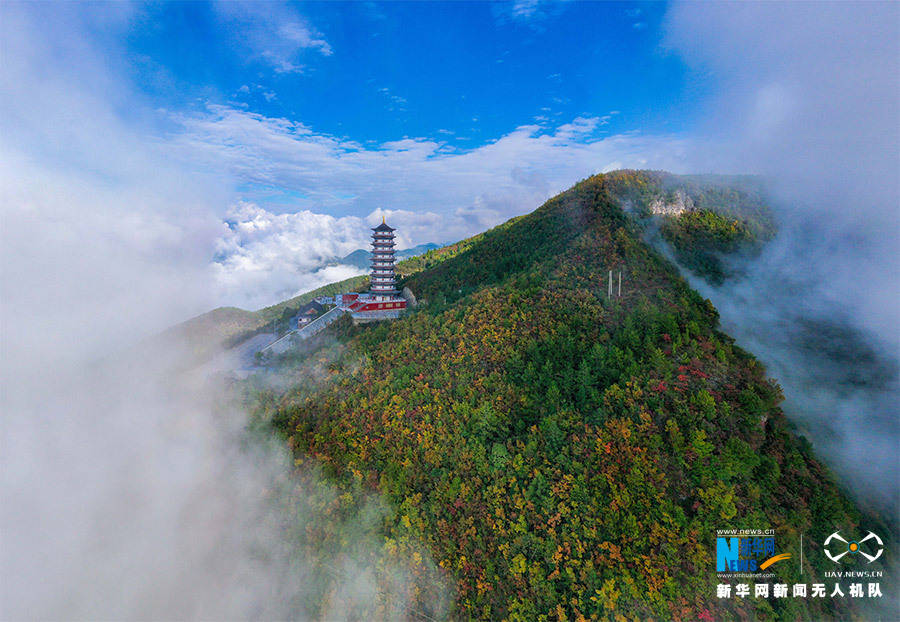 落日|红叶出云海 重庆云台寺秋色美