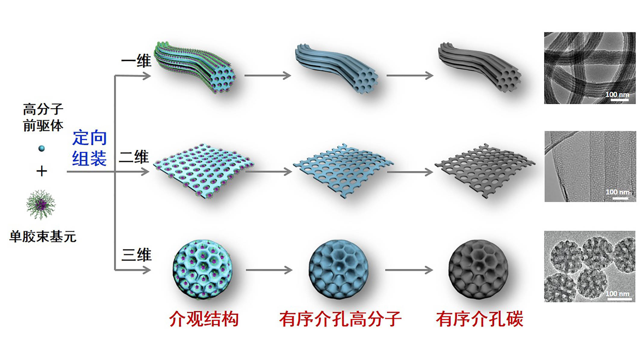 团队|造孔之术赋能微观世界——探秘国家自然科学奖一等奖“有序介孔高分子和碳材料的创制和应用”