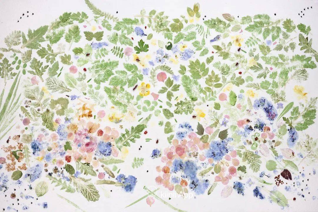 留住自然的色彩和图案,有趣有料的植物拓印