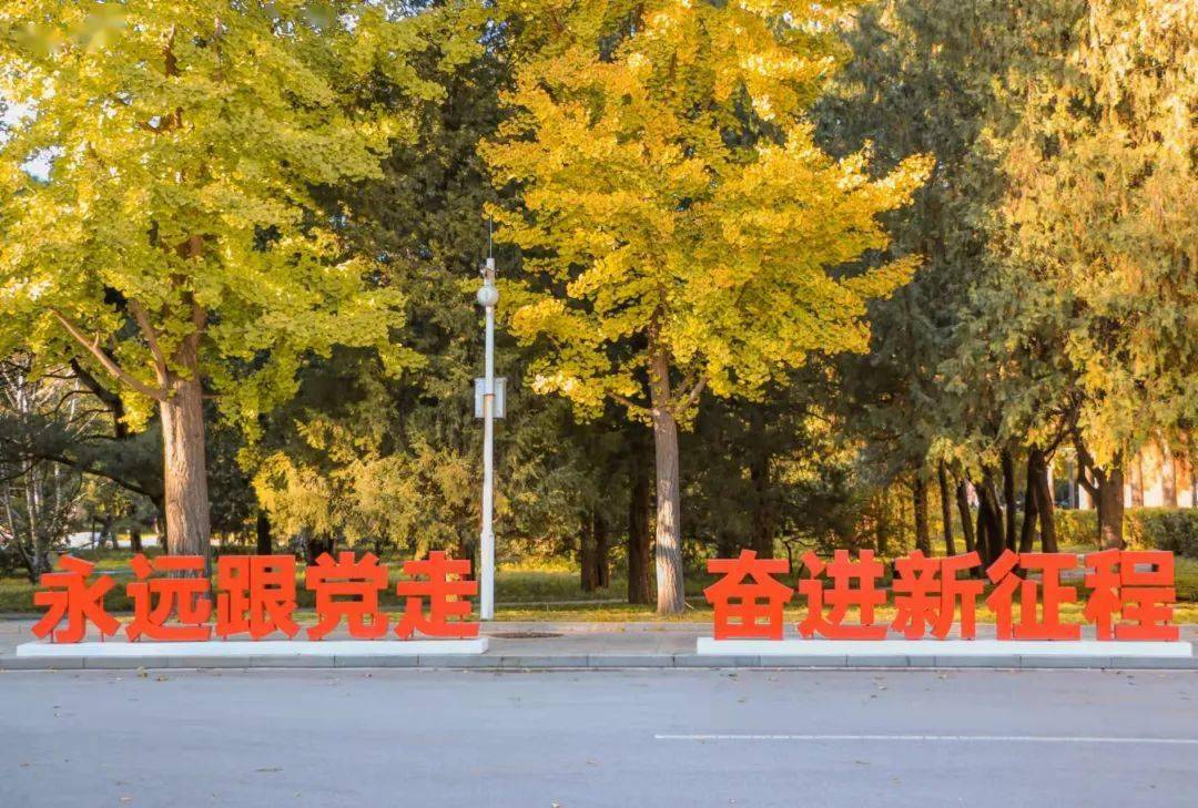 您的新一期北体壁纸已到请签收