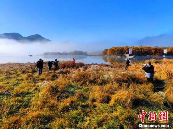 游客|湖北神农架大九湖最美秋景“上线”