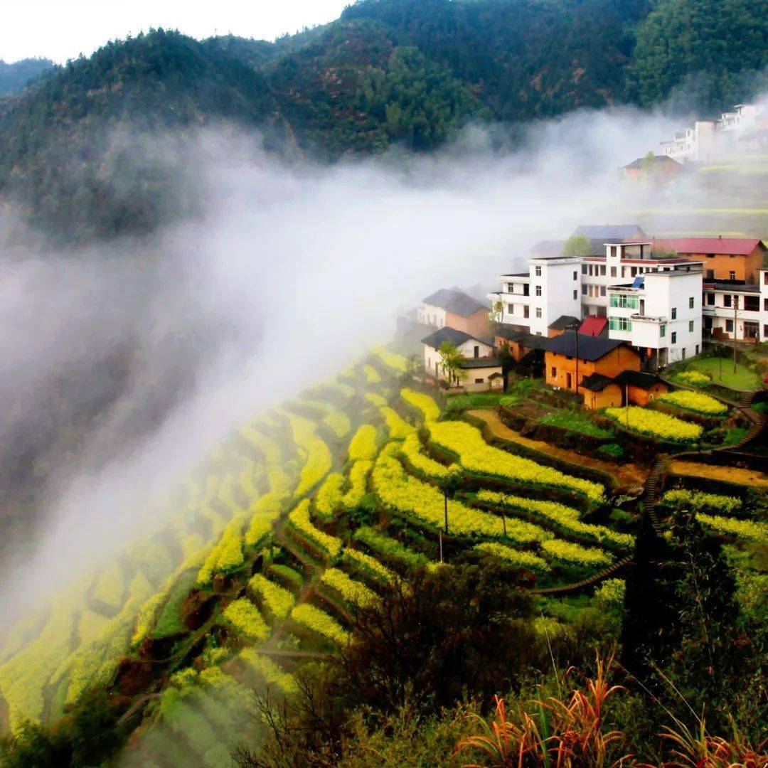 开化县再次上榜"中国县域旅游综合竞争力百强县市"!_古田山