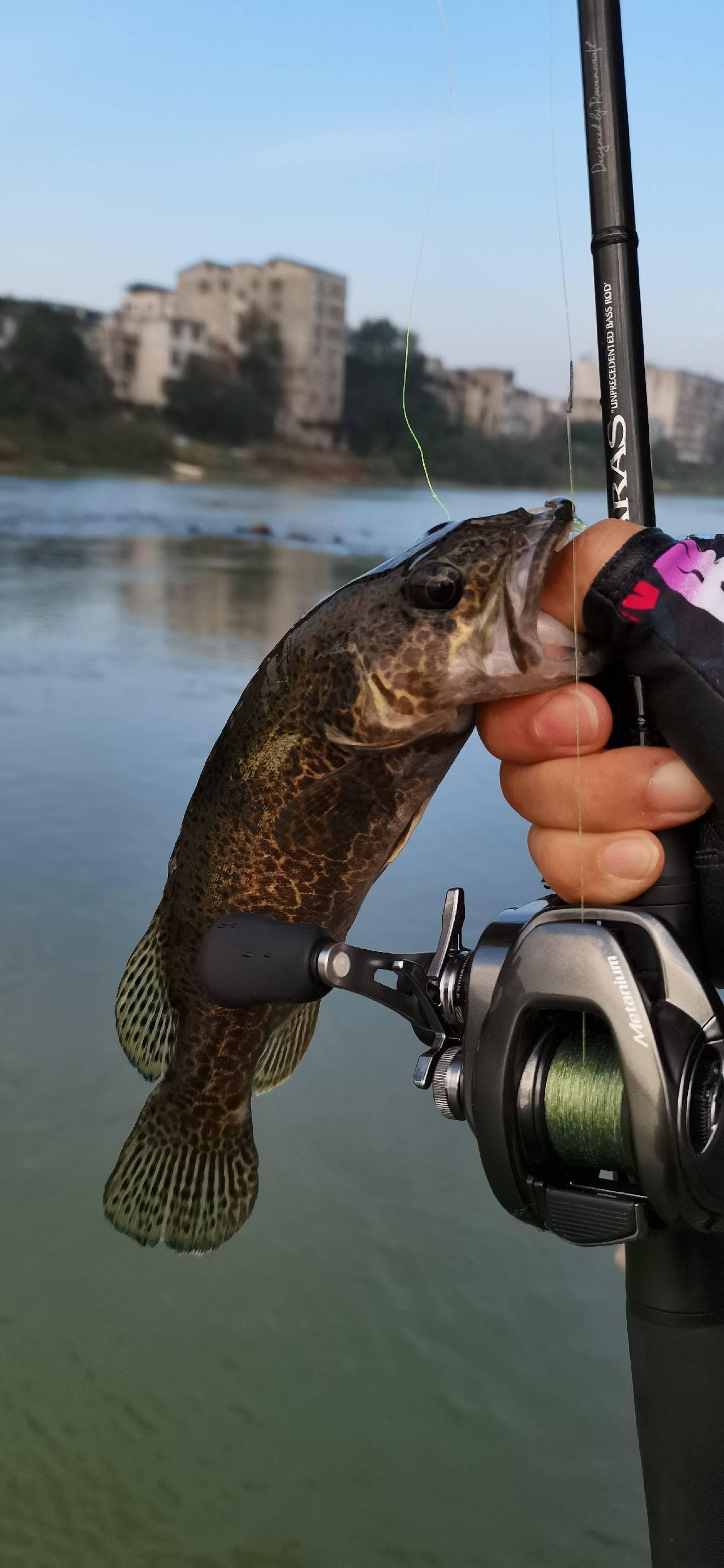 秋季河道探鳜鱼路亚标点很重要