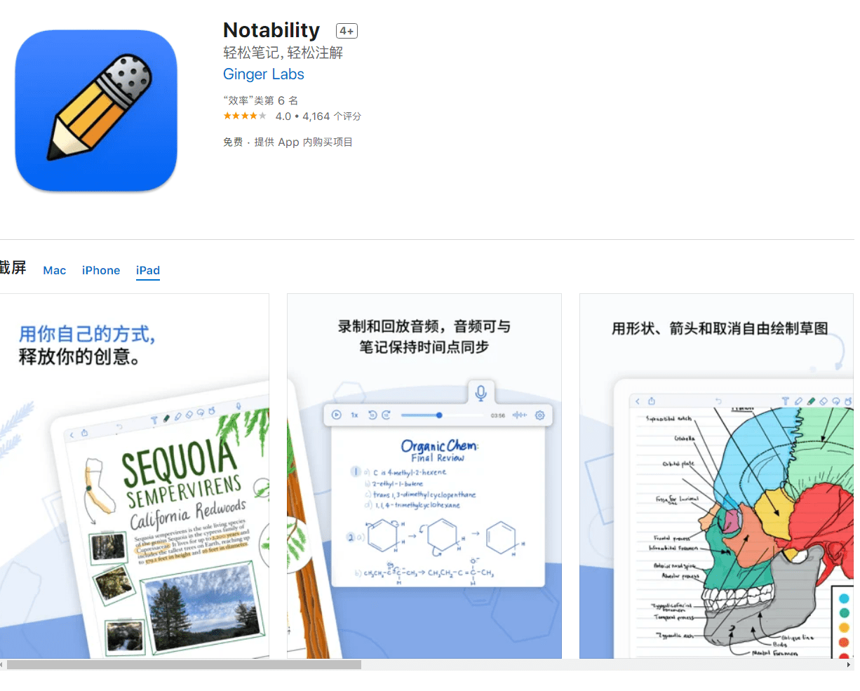 功能|iOS 笔记应用 Notability 11.0.2 终身买断版本已更新